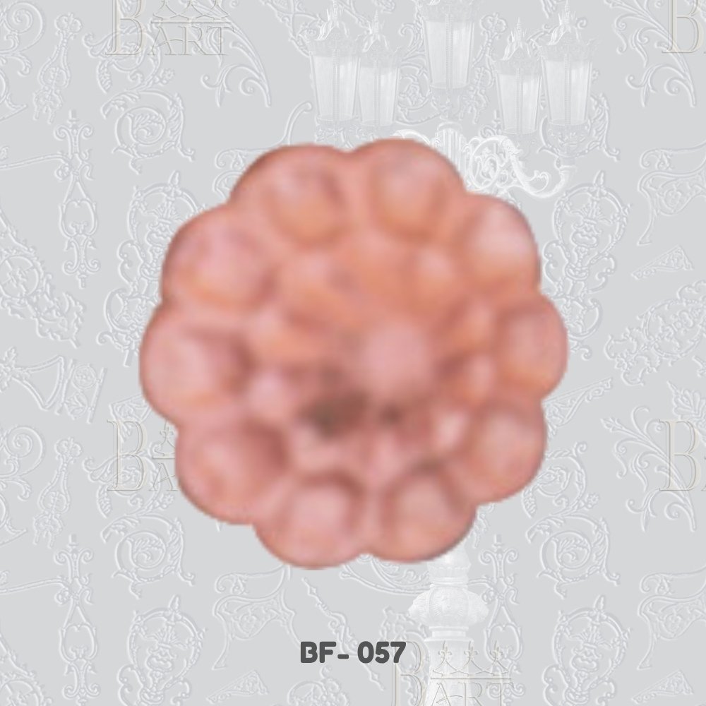 BF- 57